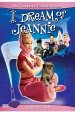 Watch I Dream of Jeannie Merdb